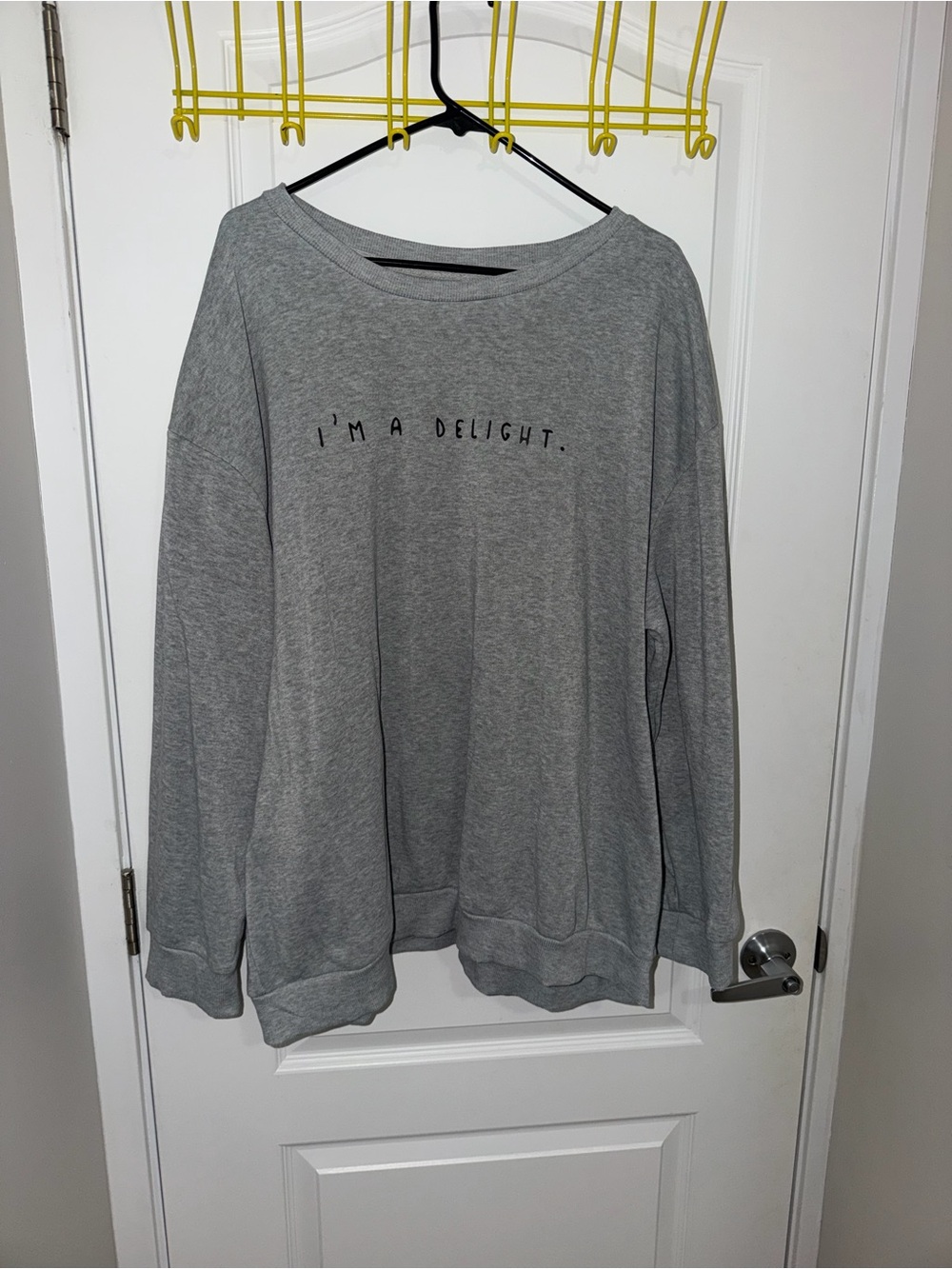 Gray Women's Sweatshirt - I'm A Delight Graphic